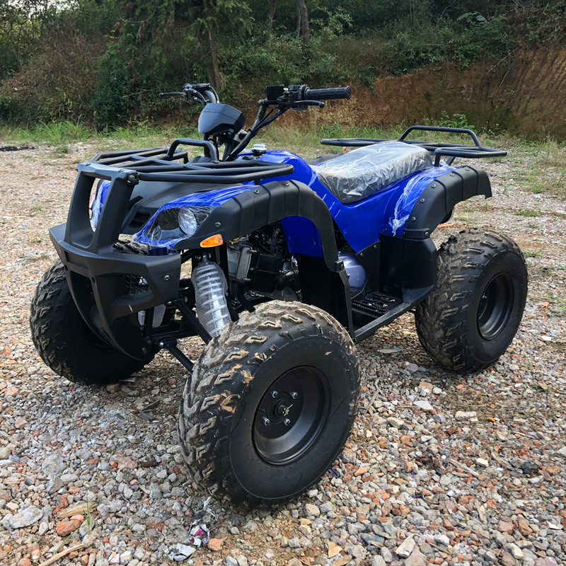 電動4人乗り4WD 4ストロークチェーン駆動クワッドバイク、 - Camping Quad のレビューと価格
